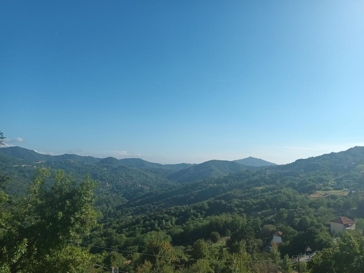 Appartamento La Pineta It010-058C20-Tj54093 Serra Ricco Bagian luar foto